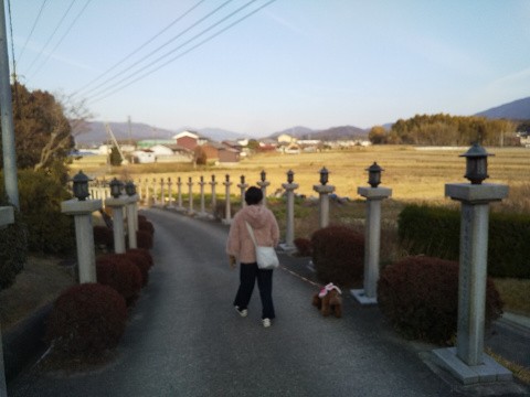 f:id:ononprg:20210217210601j:image