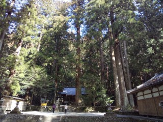 f:id:ononprg:20210219143428j:image