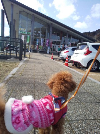 f:id:ononprg:20210219152211j:image