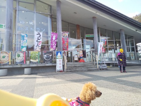 f:id:ononprg:20210219152258j:image