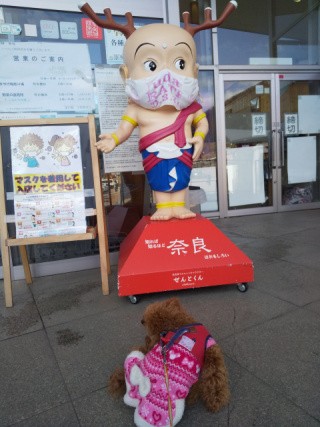 f:id:ononprg:20210219152310j:image