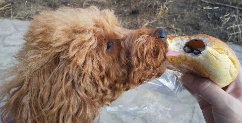 f:id:ononprg:20210219152336j:image