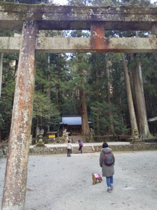 f:id:ononprg:20210219174142j:image