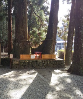 f:id:ononprg:20210219174201j:image