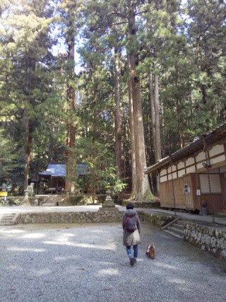 f:id:ononprg:20210219174251j:image