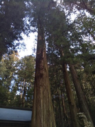 f:id:ononprg:20210220073624j:image