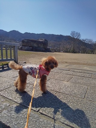 f:id:ononprg:20210223000031j:image