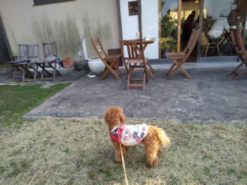 f:id:ononprg:20210223000240j:image