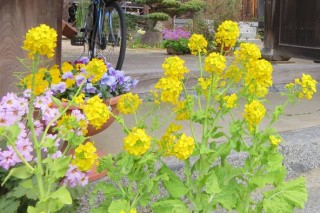 f:id:ononprg:20210319235748j:image