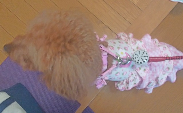f:id:ononprg:20210522213410j:image