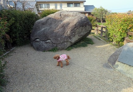 f:id:ononprg:20210621195547j:plain