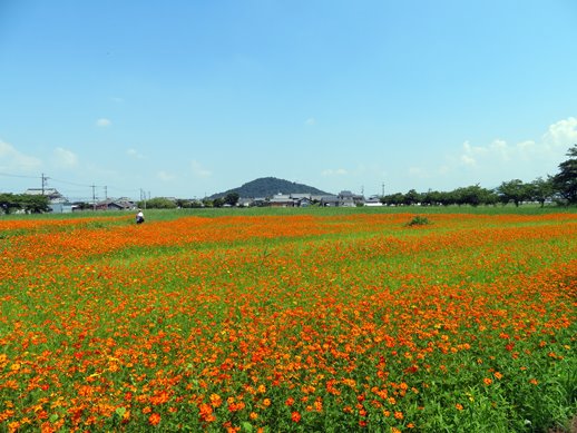 f:id:ononprg:20210731202555j:plain