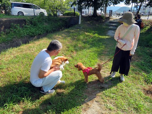 f:id:ononprg:20210731212720j:plain