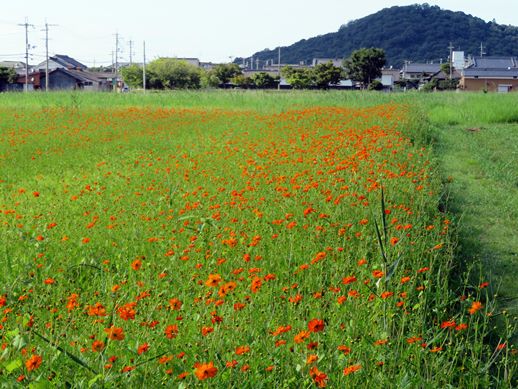 f:id:ononprg:20210731213539j:plain