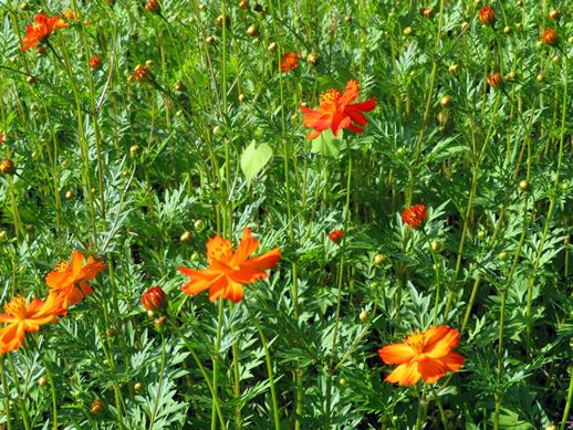 f:id:ononprg:20210731213730j:plain