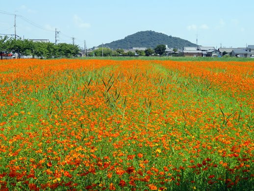 f:id:ononprg:20210731214009j:plain