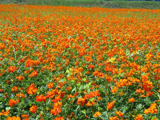 f:id:ononprg:20210731214518j:plain