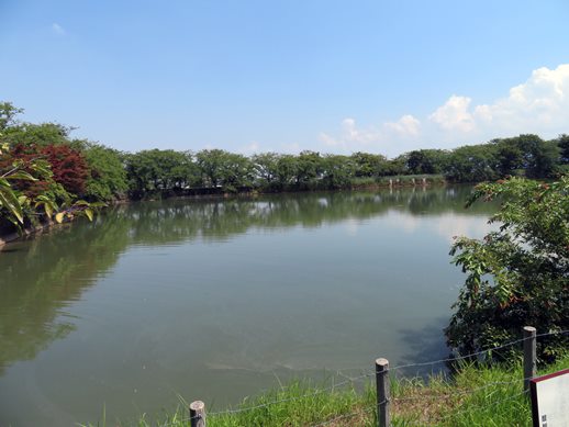 f:id:ononprg:20210731232729j:plain