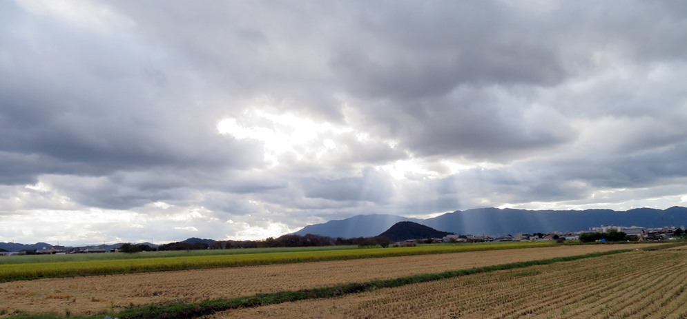 f:id:ononprg:20211020145130j:plain