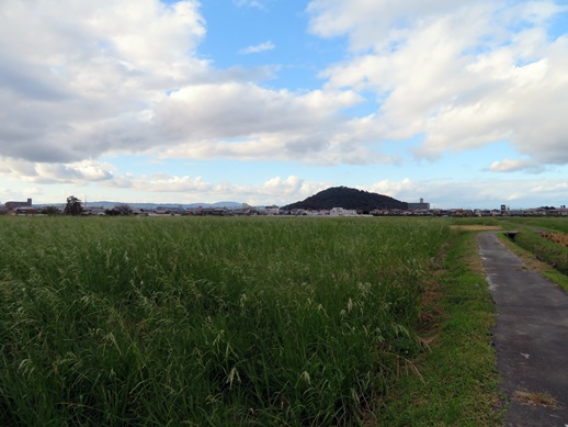 f:id:ononprg:20211020150428j:plain