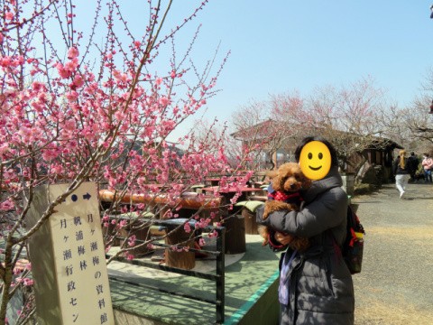 f:id:ononprg:20220310211748j:image