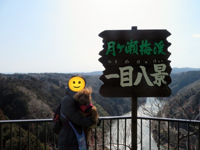 f:id:ononprg:20220310231709j:image