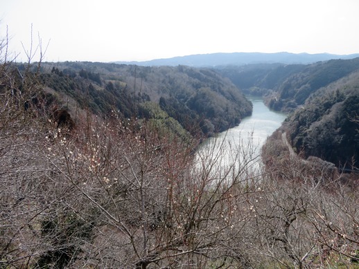 f:id:ononprg:20220311094909j:plain