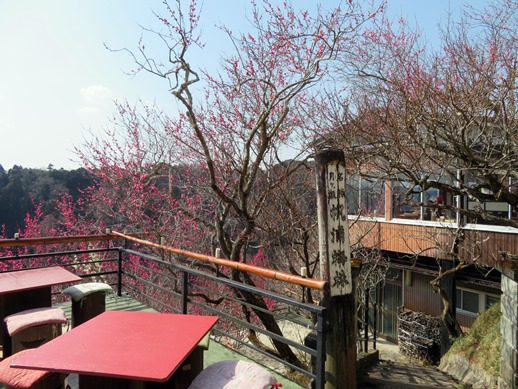 f:id:ononprg:20220311101756j:plain