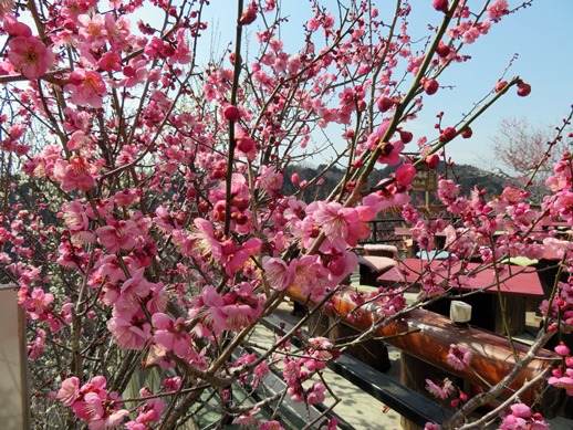 f:id:ononprg:20220311103146j:plain