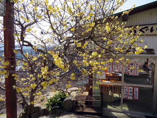 f:id:ononprg:20220311103542j:plain