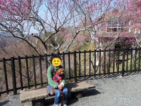 f:id:ononprg:20220311133356j:image