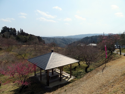 f:id:ononprg:20220311135334j:plain