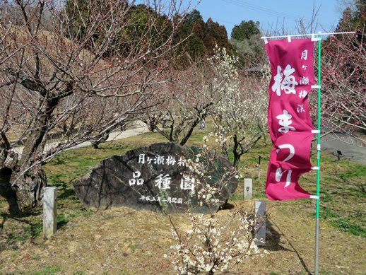 f:id:ononprg:20220311140138j:plain