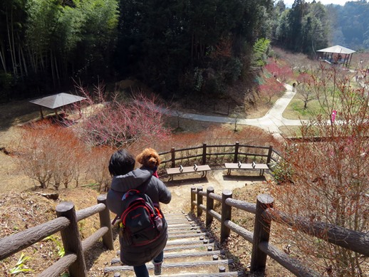 f:id:ononprg:20220311141623j:plain