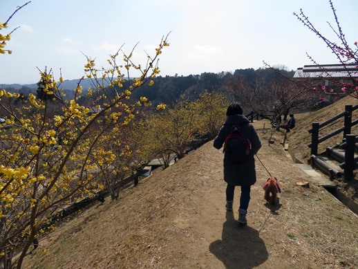 f:id:ononprg:20220311142722j:plain