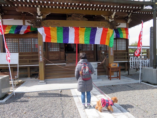 f:id:ononprg:20220311144427j:plain