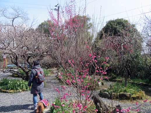 f:id:ononprg:20220311145052j:plain