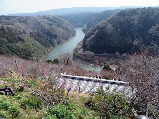 f:id:ononprg:20220311145819j:plain