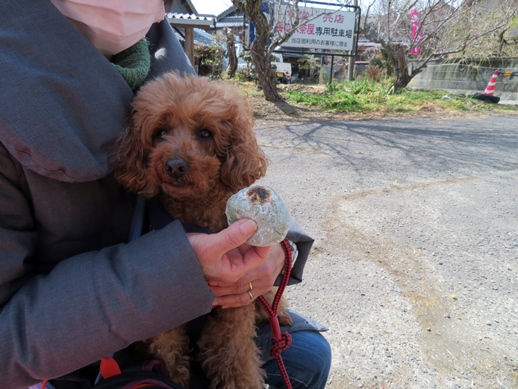 f:id:ononprg:20220311150653j:plain