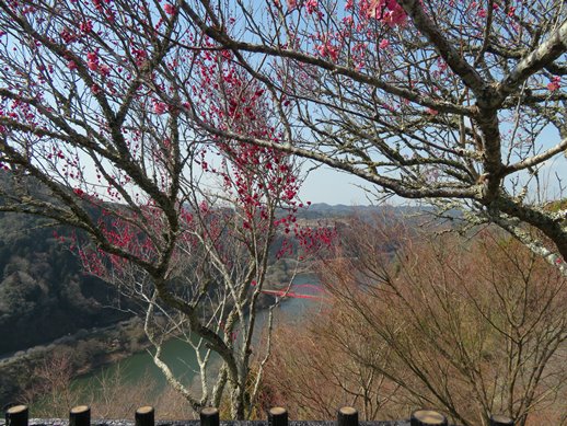 f:id:ononprg:20220311154243j:plain