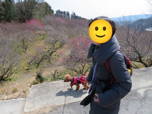 f:id:ononprg:20220311155059j:image