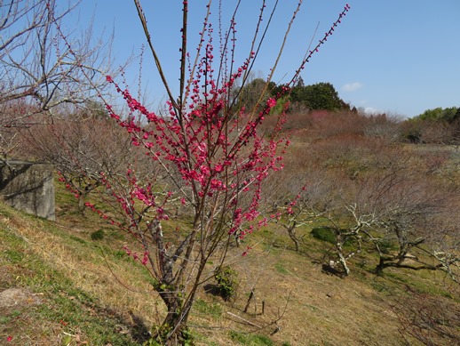 f:id:ononprg:20220311155458j:plain