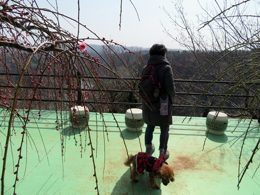 f:id:ononprg:20220311161550j:plain