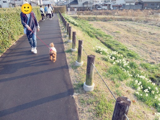 f:id:ononprg:20220313003444j:image