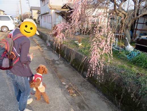 f:id:ononprg:20220313003506j:image