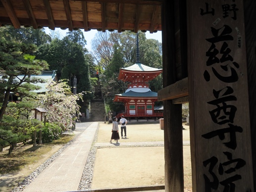 f:id:ononprg:20220414202530j:plain
