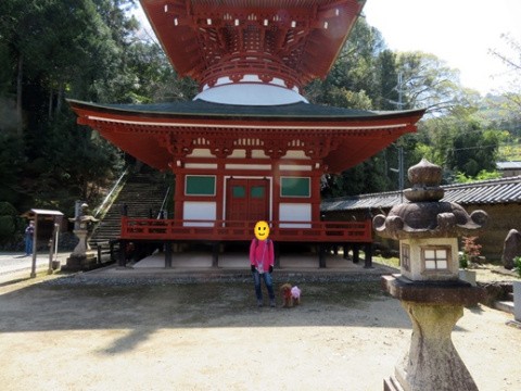 f:id:ononprg:20220414205421j:image