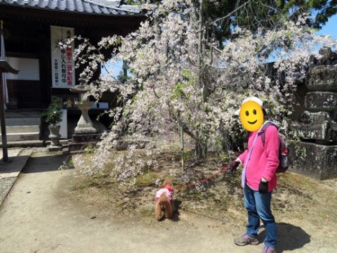 f:id:ononprg:20220414211148j:image