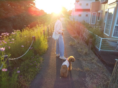 f:id:ononprg:20220929211050j:image