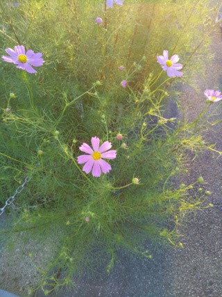 f:id:ononprg:20220929211324j:image